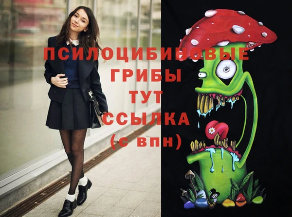 COCAINE Абаза