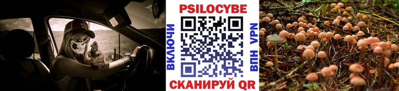 Галлюциногенные грибы Cubensis ссылка на мегу tor Правдинск
